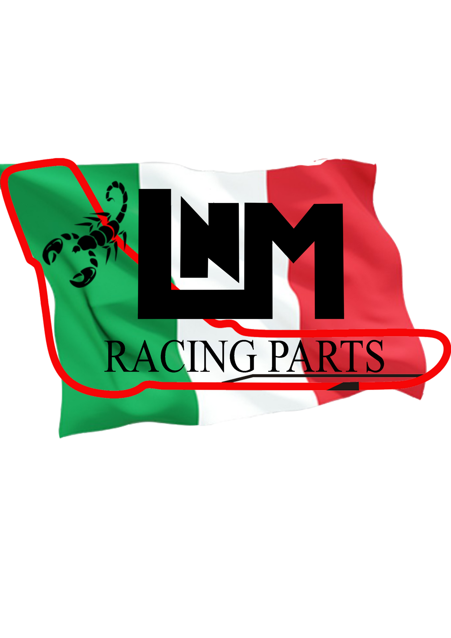 Kit duomi irrigidimento baule modello TRIBUTO ITALIA TRICOLORE special edition 500ABARTH / punto abarth evo abarth/ panda 100 HP irrigidimento baule LNM